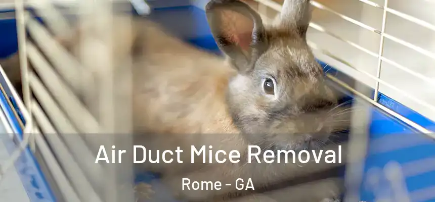 Air Duct Mice Removal Rome - GA
