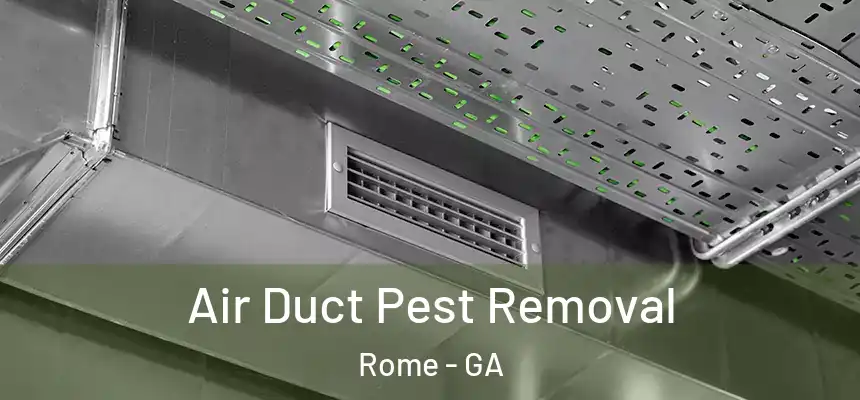  Air Duct Pest Removal Rome - GA