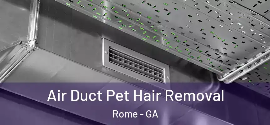 Air Duct Pet Hair Removal Rome - GA