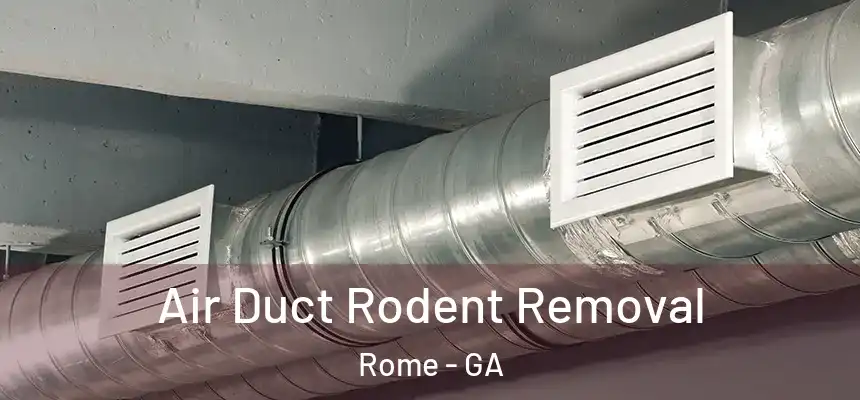 Air Duct Rodent Removal Rome - GA