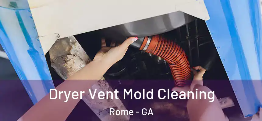 Dryer Vent Mold Cleaning Rome - GA