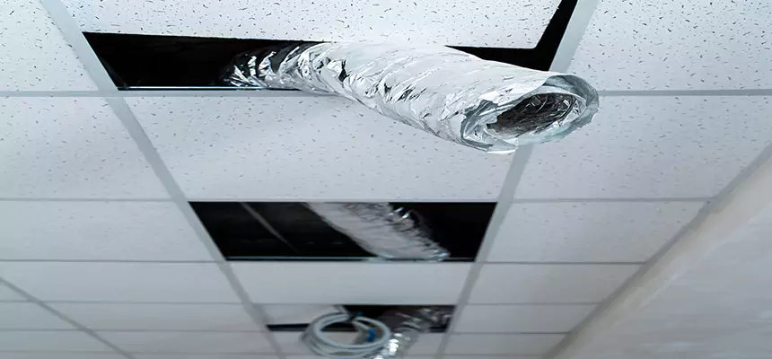 Affordable HVAC Sanitizing After Pest Removal in Rome