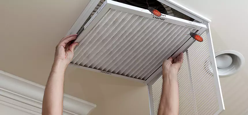 Our Insect Removal from Air Ducts Services in Rome, GA