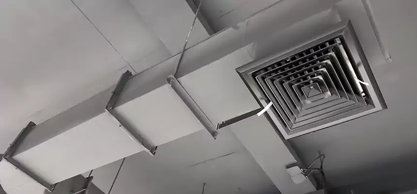 Our Pest Removal From Ducts Services in Rome, GA