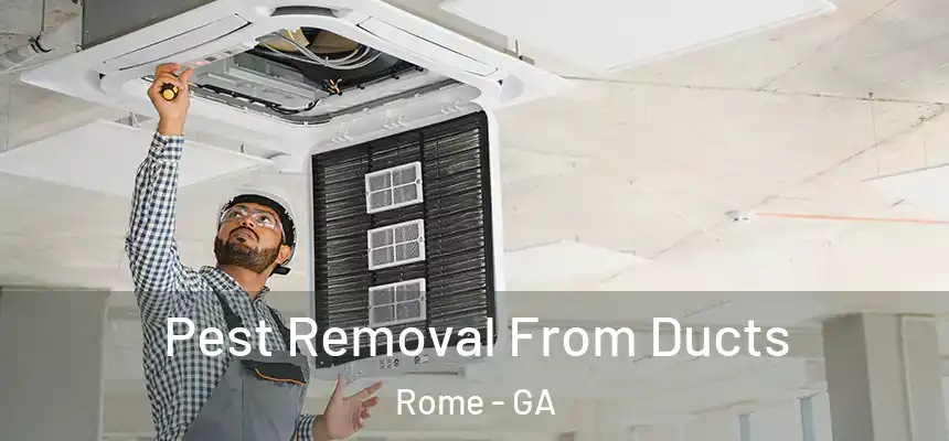  Pest Removal From Ducts Rome - GA