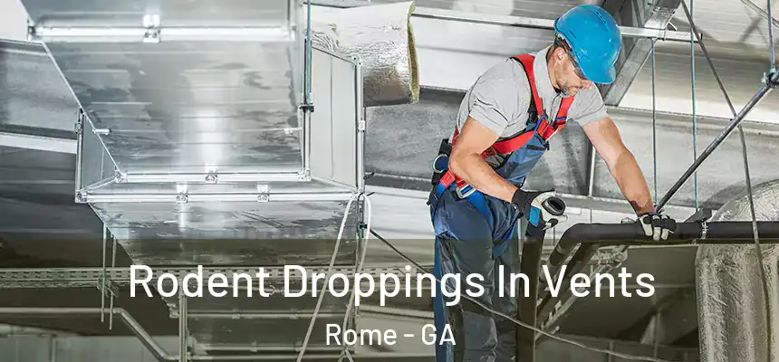 Rodent Droppings In Vents Rome - GA