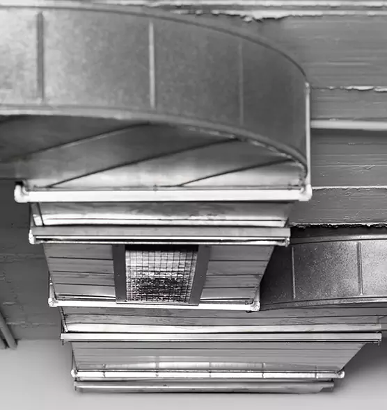 Professional Air Duct Pet Hair Removal in Rome, GA