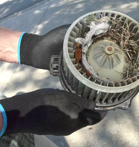 About Air Duct Rat Removal in Rome, GA