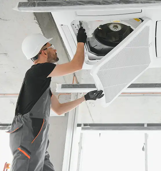 About Air Duct Rodent Removal in Rome, GA