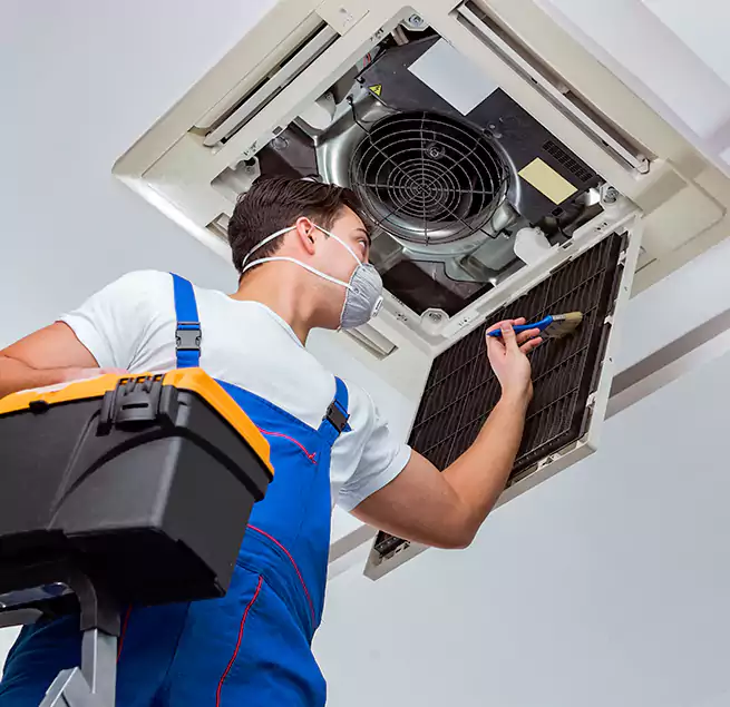 Why Homeowners & Businesses Trust Us in Rome, GA