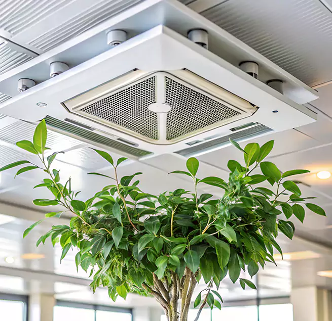 Why Homeowners & Businesses Trust Us in Rome, GA