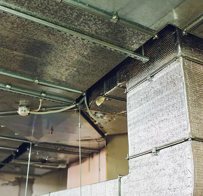 Why Homeowners & Businesses Trust Us in Rome, GA?